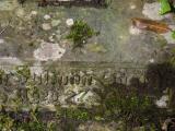 image of grave number 919794